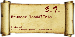 Brumecz Teodózia névjegykártya